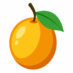 vector illustration of a lucuma