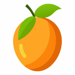 lucuma fruit vector illustration