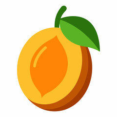 vector illustration of a lucuma