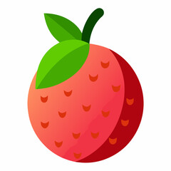 lychee vector illustration