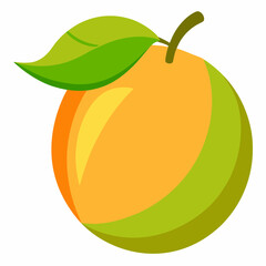 vector illustration of a lucuma