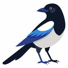 Fototapeta premium magpie bird vector illustration