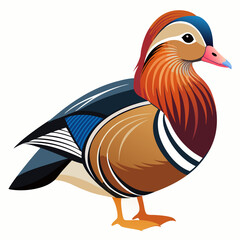 vector illustration of mandarin duck