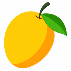 vector illustration of a mango