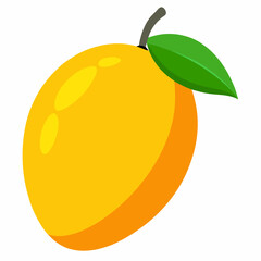 vector illustration of a mango
