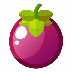 vector illustration of a mangosteen