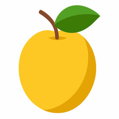 vector illustration of a marula