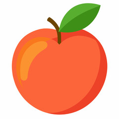 vector illustration of a nectarine