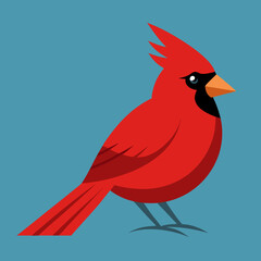 cardinal on a branch