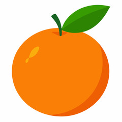 vector illustration of an orange