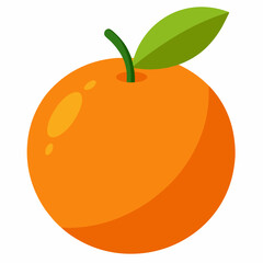 orange fruit vector illustration