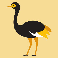 ostrich cartoon vector illustration
