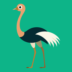 illustration of a ostrich