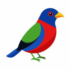 painted bunting vector illustration