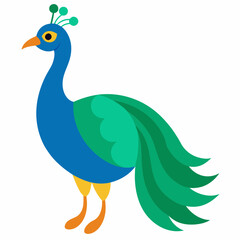 peacock vector illustration