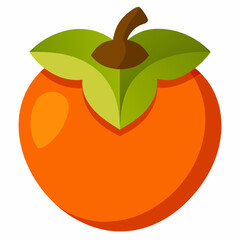 vector illustration of an persimmon