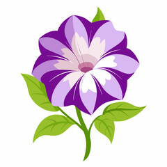 Obraz premium petunia flower vector
