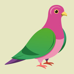 vector illustration of a pigeon bird
