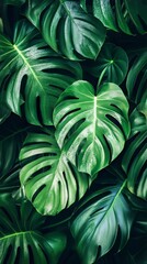 Lush green tropical leaves, vibrant and dense.