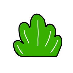 Fototapeta premium a bush with a green colour, ornament and decoration flat vector, plant illustration, frame for design template