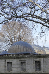 Obraz premium Domes and Trees Reach for the Sky: Architecture Meets Nature in Winter Splendor