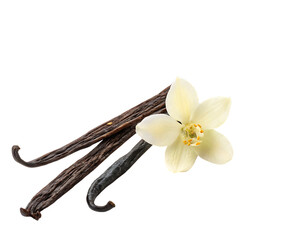 A vanilla bean isolated on transparent background