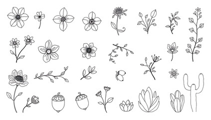 Minimalist line-art icons of botanical elements, featuring flowers, leaves, branches, vines, seeds, acorns, cacti, and succulents, drawn with no fill color on a white background."