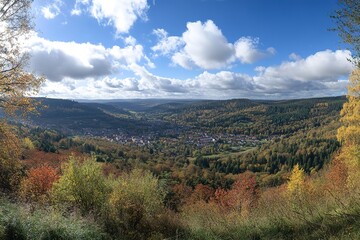 Obraz premium Majestic Black Forest Panorama: Verdant Hills, Ancient Trees, Serene Valley sun sky view path green 