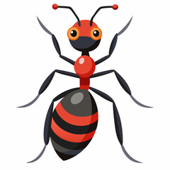 vector illustration of a ant