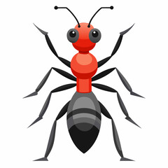 vector illustration of a ant