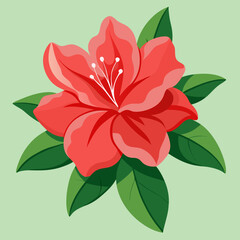 azalea flower vector