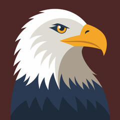 american bald eagle head