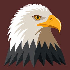 american bald eagle head