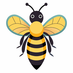 bee vector illustration