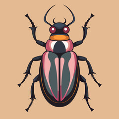 beetle vector illustration