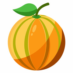 vector illustration of a cantaloupe