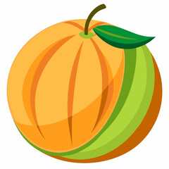 vector illustration of a cantaloupe