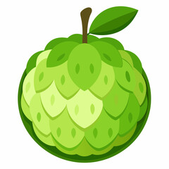 vector illustration of an cherimoya
