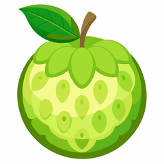 vector illustration of an cherimoya