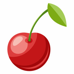 vector illustration of cherry