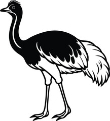 Rhea bird silhouette vector illustration, Rhea bird line art vector, Rhea bird isolated vector design
