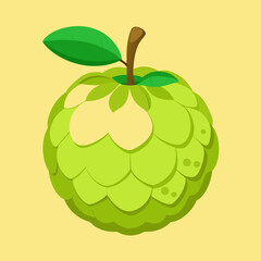 vector illustration of an custard apple
