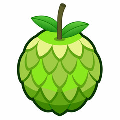vector illustration of an custard apple
