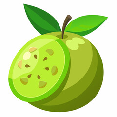 vector illustration of an feijoa