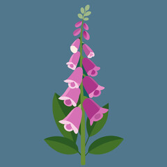 foxglove flower vector © UtsoMondal