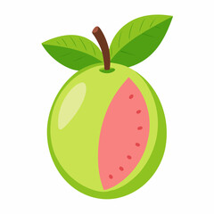 vector illustration of an guava