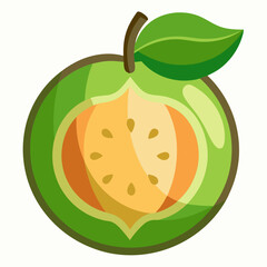 vector illustration of an guava