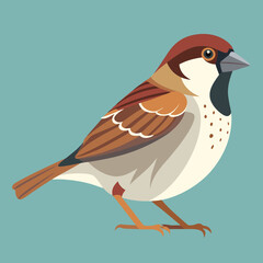 vector illustration of a sparrow bird