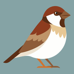 vector illustration of a sparrow bird