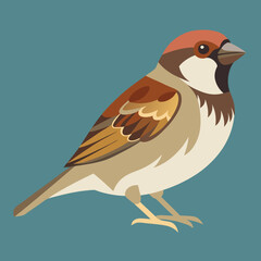 vector illustration of a sparrow bird
